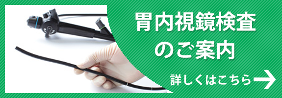 さとう胃腸科内科　仙北町駅